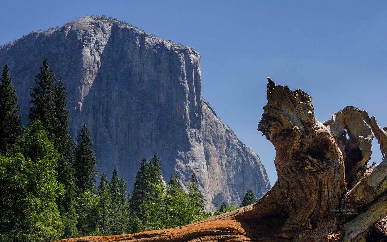 Original photo — El Capitan, Yosemite